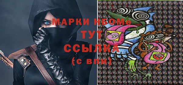 хмурый Магас