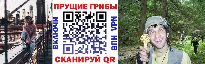 Псилоцибиновые грибы Magic Shrooms  Темрюк 