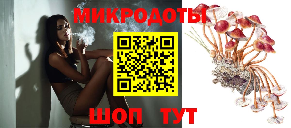Галлюциногенные грибы Psilocybe Темрюк