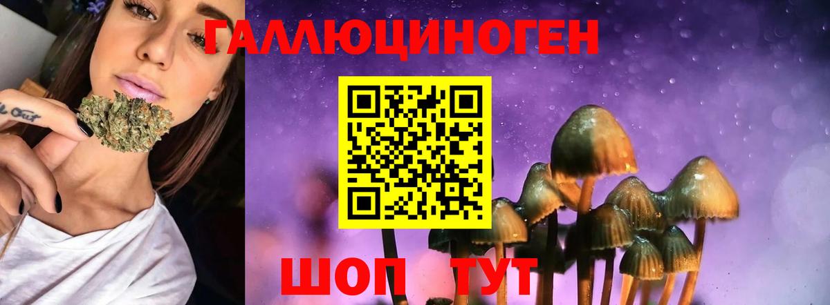 Псилоцибиновые грибы GOLDEN TEACHER  Темрюк 